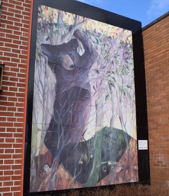 Adele MacFarlane The Black Bear and the Beech Tree, 2015. Oil on panel.