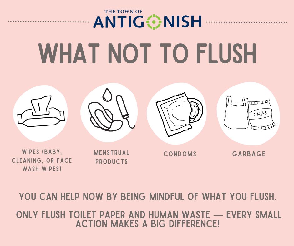 What not to flush